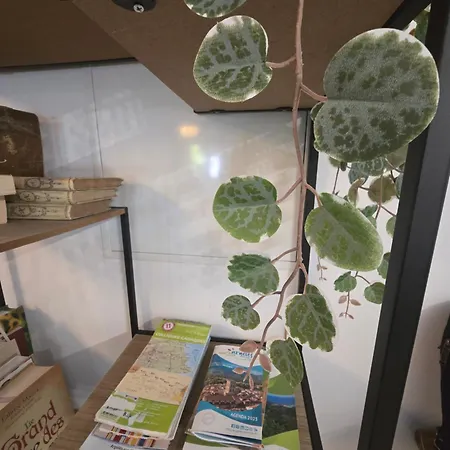 Magnifique Villa Familiale, 5 Chambres, Piscine & Parking *