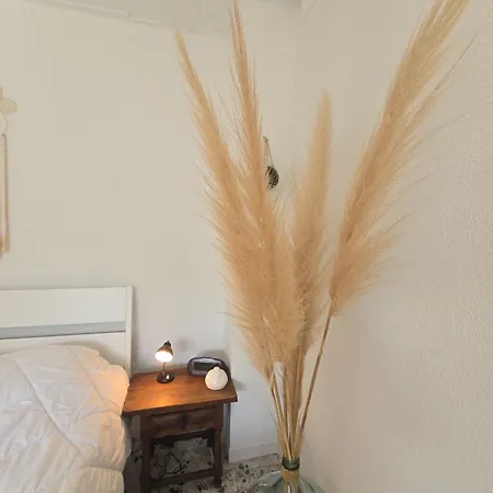 Magnifique Familiale, 5 Chambres, Piscine & Parking *
